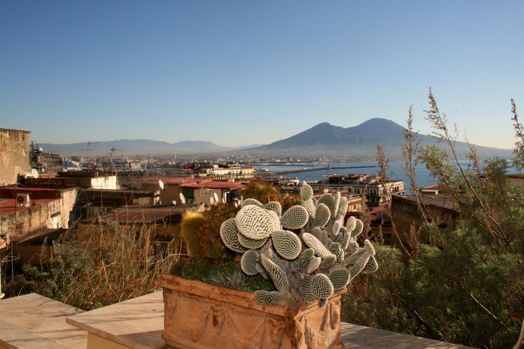 Alma De Templarsf - Stunning Design Home With Sea View And Terrace Neapel Zimmer foto